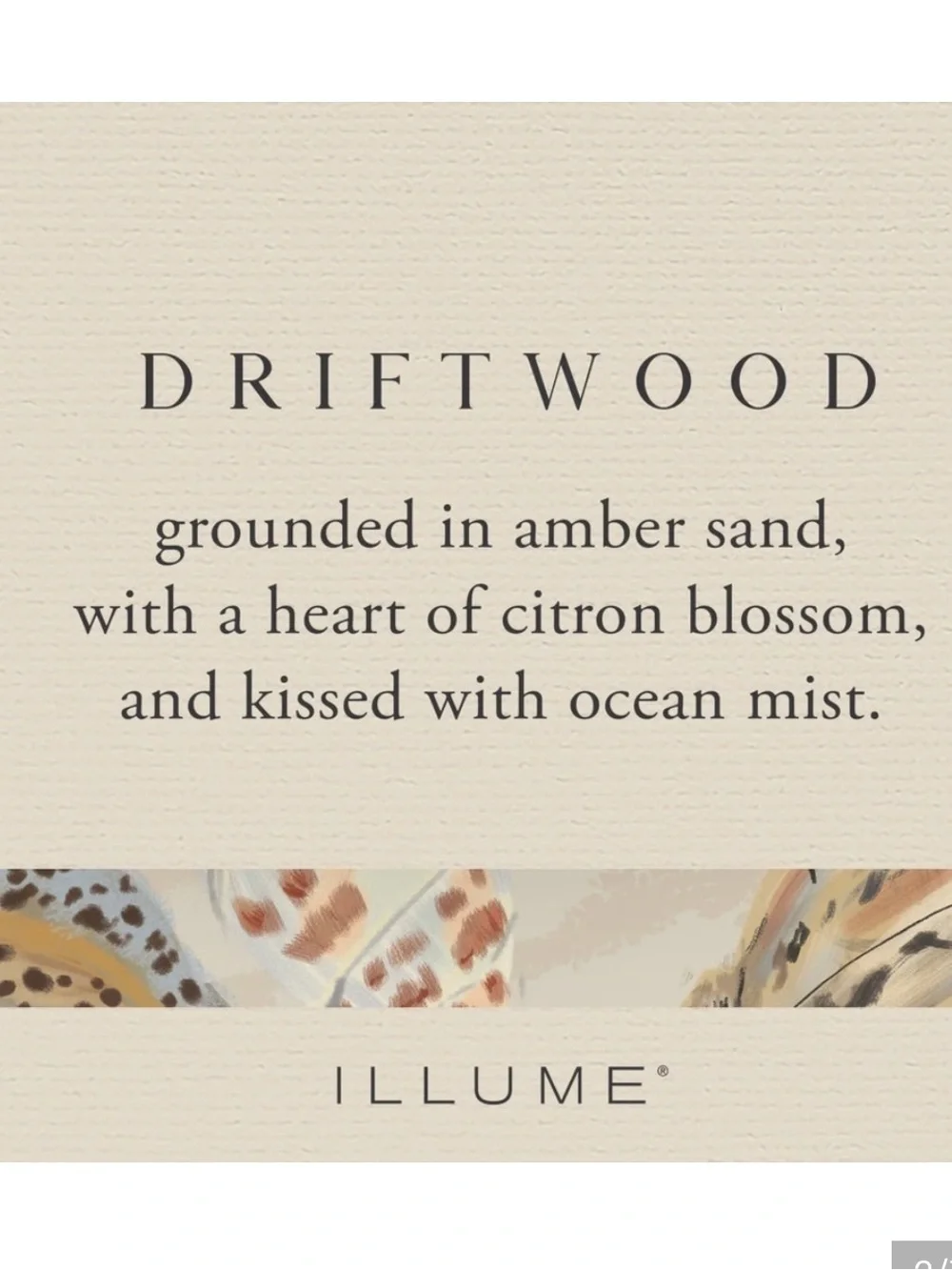 ILLUME Driftwood Baby Boxed Glass  4.8 Oz Candle Set of 2